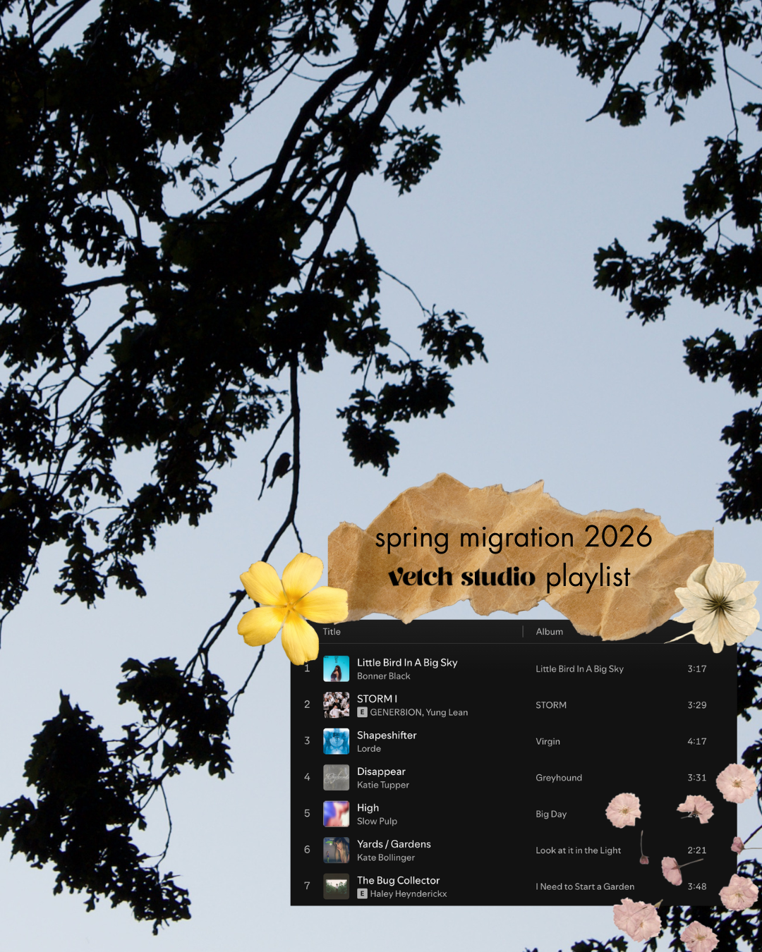 spring migration 2026: vetch studio playlist!