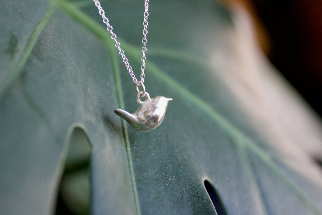 a product image of a sterling silver carolina wren charm in front of a plant
