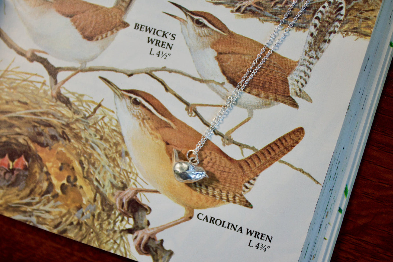 Bird-themed necklace displayed on a book with wren illustrations