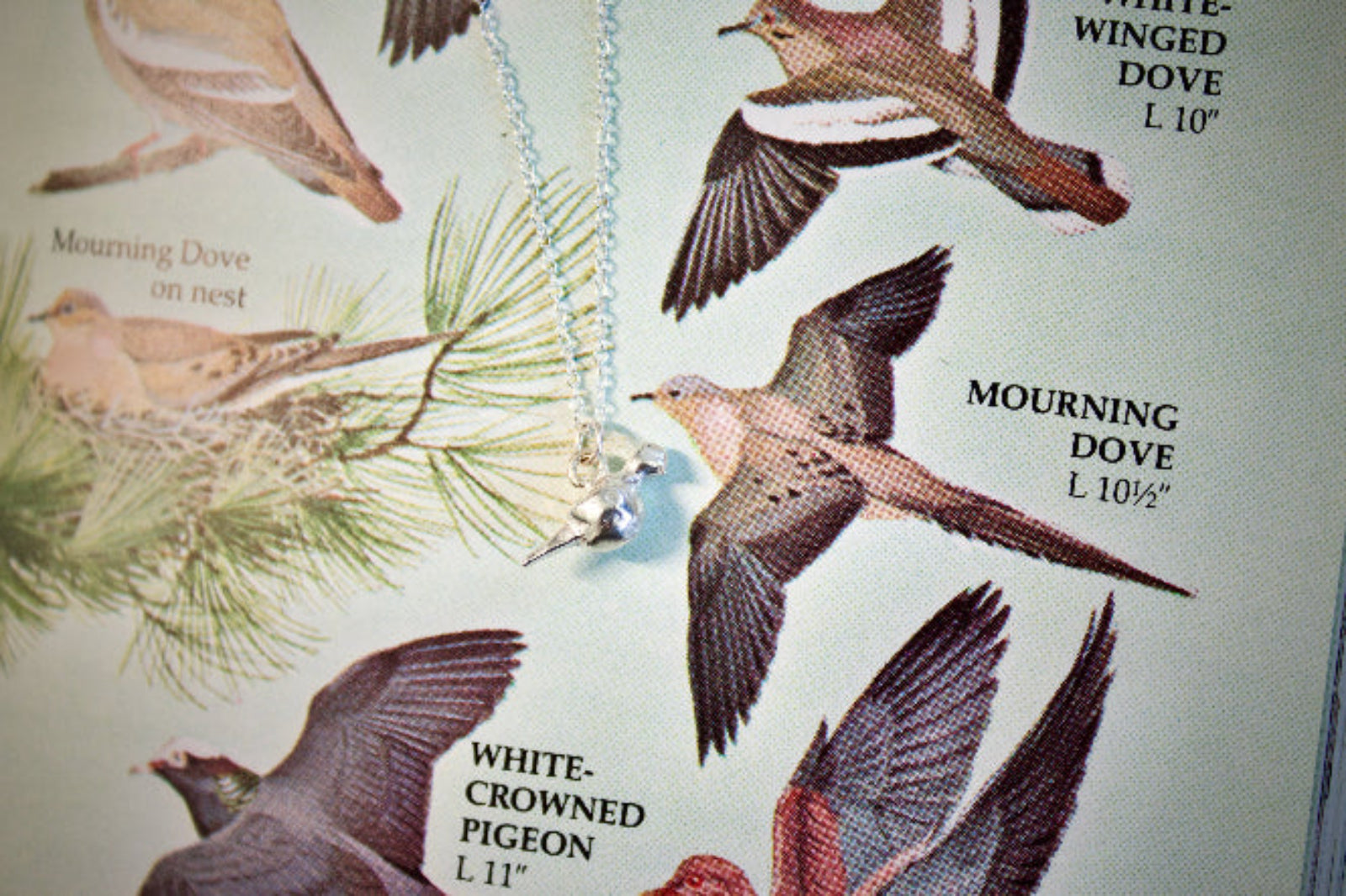 a product image of a sterling silver mourning dove charm on top of a bird field guide.