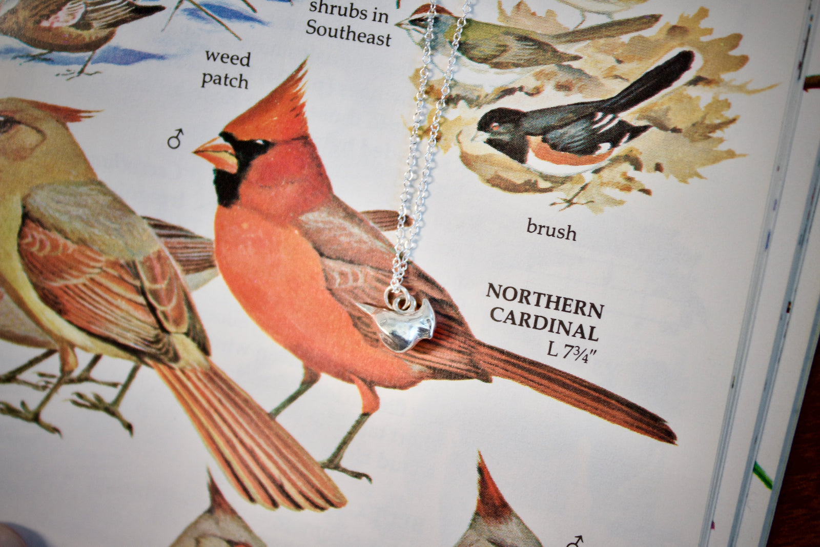 a product image of a sterling silver cardinal charm on top of a bird field guide.