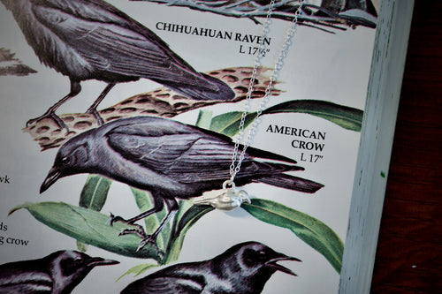 a product image of a sterling silver crow charm on top of a bird field guide.